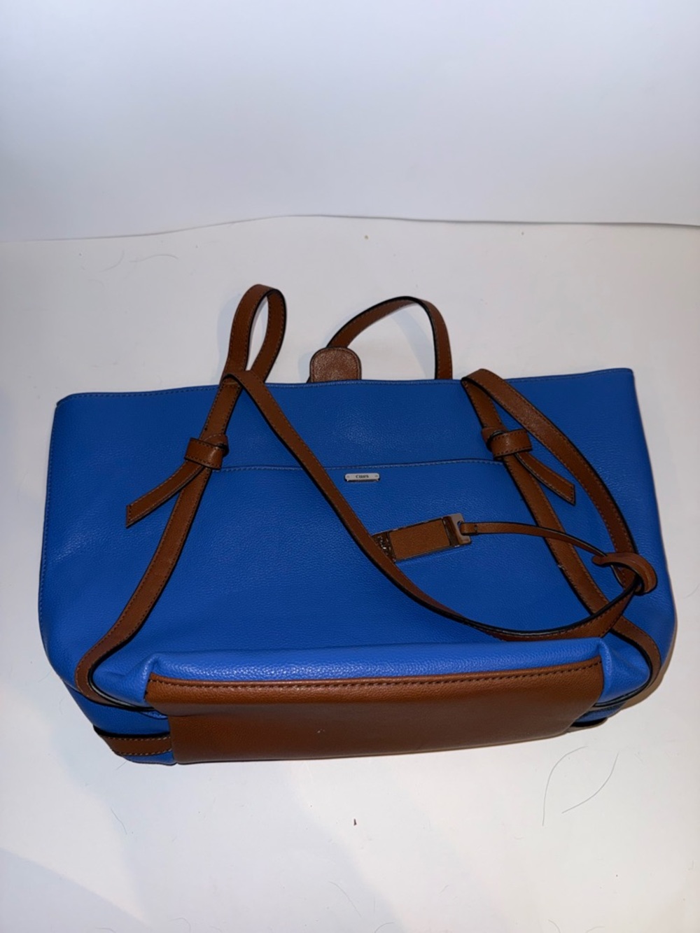 Champs Brown Trim Striped Tote Interior